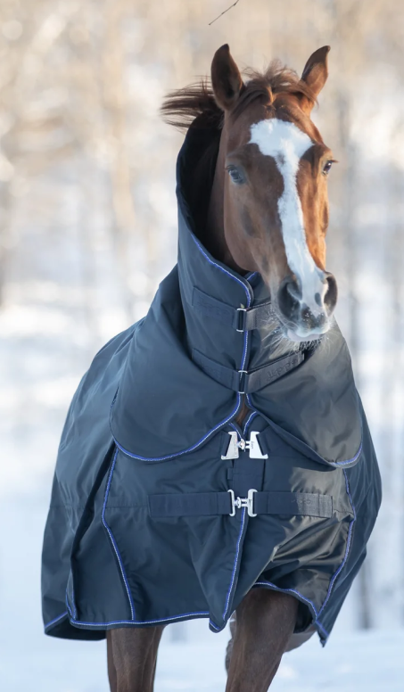 Hästtäcken