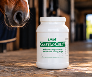 GastroCell® – produktbild från EMIN