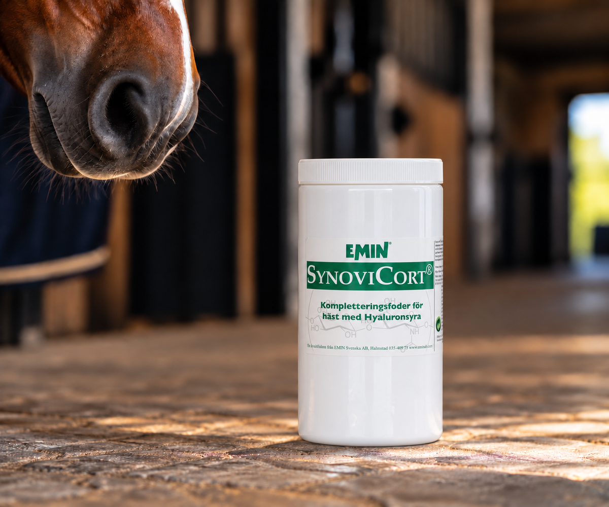 SynoviCort™ – produktbild från EMIN